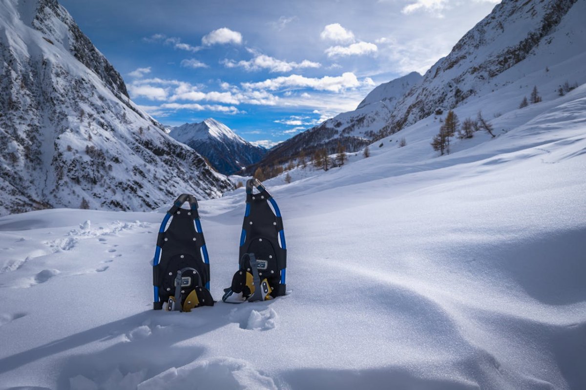 b&b a gressoney